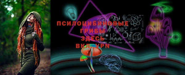 ГАЛЛЮЦИНОГЕННЫЕ ГРИБЫ Зеленодольск