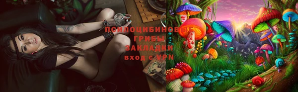 бошки Зеленокумск