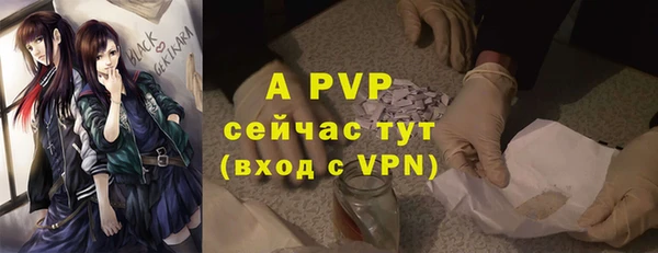 ГАЛЛЮЦИНОГЕННЫЕ ГРИБЫ Зеленодольск
