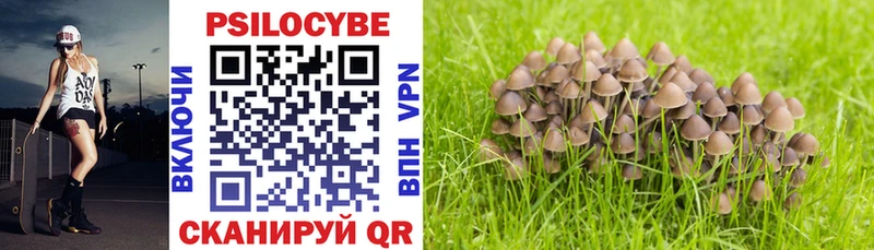 Купить закладки  Сольвычегодск  Галлюциногенные грибы Psilocybine cubensis 